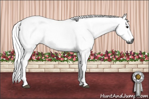 Horse Color:Gray Buckskin Tobiano 