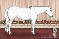 Horse Color:Gray Buckskin Tobiano 