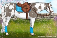 Horse Color:White Spotted Silver Smoky Black Splash 