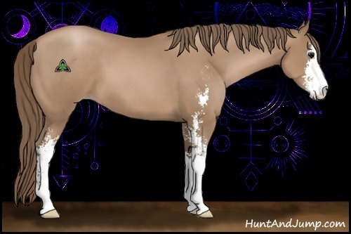 Horse Color:Black Pearl Sabino