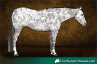 Horse Color:White Spotted Liver Chestnut Ice Sabino 