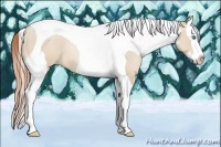 Horse Color:Smoky Grullo Pearl Splash Tobiano 