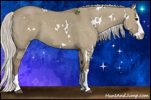Horse Color:White Spotted Silver Smoky Grullo Splash 