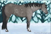 Horse Color:Grullo Sabino Rabicano