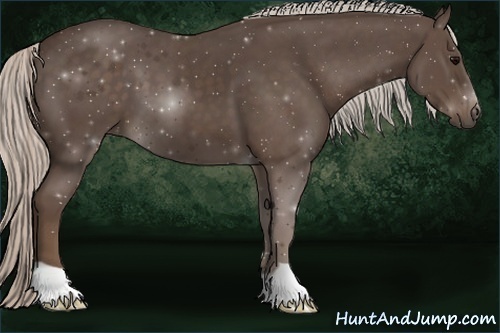 Horse Color:Silver Black 