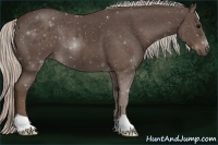 Horse Color:Silver Black 
