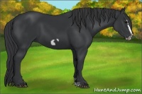 Horse Color:Black Frame 
