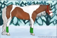 Horse Color:Silver Bay Sabino Tobiano 