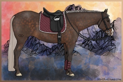 Horse Color:Silver Bay