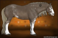 Horse Color:Liver Chestnut Sabino 