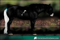 Horse Color:ERROR: UNKNOWN ANOMALY