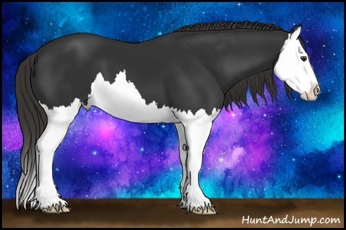 Horse Color:Liver Chestnut Splash