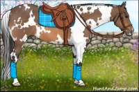 Horse Color:White Spotted Buckskin