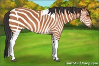 Horse Color:Bay Tobiano Rabicano
