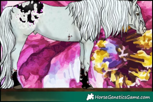 Horse Color:Watercolor Palomino Sabino Appaloosa 