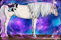 Horse Color:Watercolor Palomino Sabino Appaloosa 