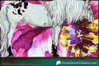 Horse Color:Watercolor Palomino Sabino Appaloosa 