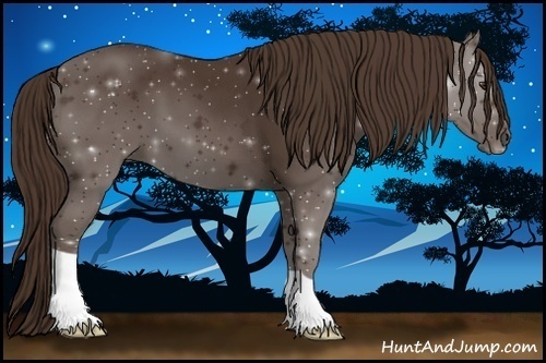 Horse Color:Liver Chestnut 