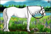 Horse Color:Silver Brown Dun Blanket Rabicano