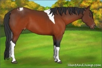 Horse Color:Brown Tobiano Varnish 