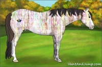 Horse Color:Plaid  Bay Ice 