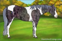 Horse Color:Watercolor Bay Ice Dun Splash Tobiano Rabicano