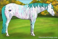 Horse Color:Watercolor Bay Ice Sabino Appaloosa 