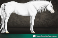 Horse Color:Silver Smoky Black Chinchilla Pearl