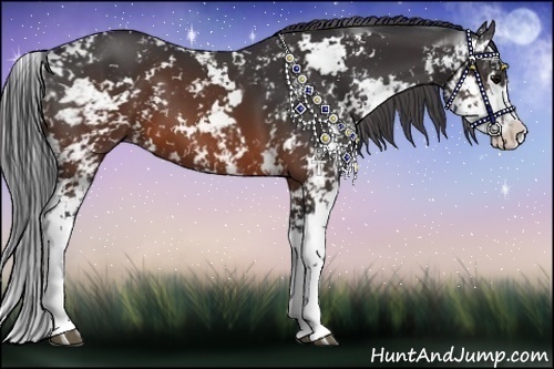 Horse Color:Brown Sabino