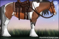 Horse Color:Bay Sabino Tobiano