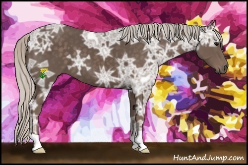 Horse Color:Silver Black Ice 