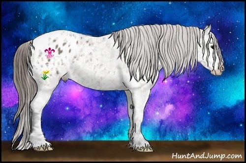 Horse Color:Grullo Ice Appaloosa 
