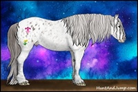Horse Color:Grullo Ice Varnish 