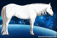 Horse Color:Smoky Black Ice Sabino Tobiano Blanket