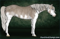 Horse Color:Silver Black Splash Rabicano