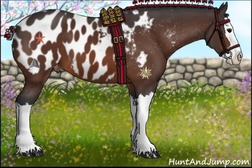 Horse Color:Bay Splash Appaloosa