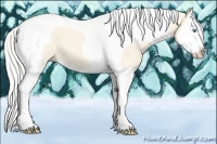 Horse Color:Cremello Dun Splash Tobiano 
