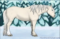 Horse Color:Cremello Tobiano 