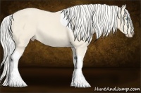 Horse Color:Cremello Tobiano
