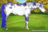 Horse Color:Watercolor Plaid  Bay Frame 
