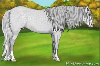 Horse Color:Silver Classic Champagne Chinchilla Dun Splash 