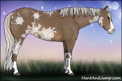 Horse Color:Silver Buckskin Ice Splash 