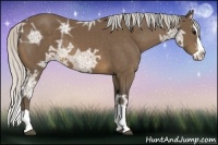 Horse Color:Silver Buckskin Ice Splash 