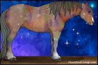 Horse Color:Nacre Bay Rabicano