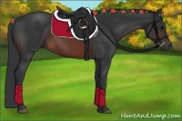 Horse Color:Brown Rabicano 