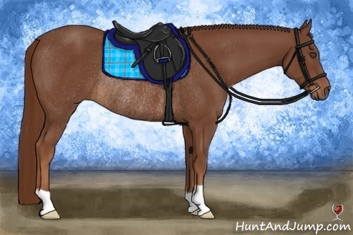 Horse Color:Chestnut Rabicano