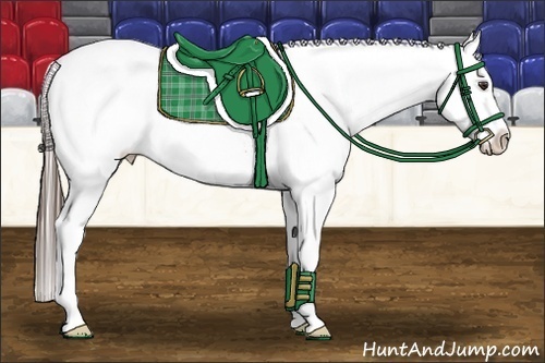 Horse Color:Liver Chestnut Appaloosa