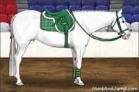 Horse Color:Liver Chestnut Appaloosa 