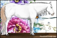 Horse Color:Amber Cream Champagne Sabino Varnish 