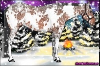 Horse Color:White Spotted Bay Ice Roan 